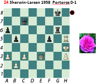 Puzzle 24  Sherwin-Larsen