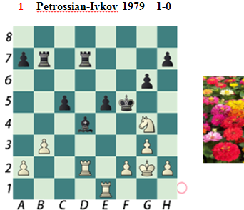 Petrossian-Ivkov Chess Beauty Puzzles & nice Combinations