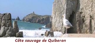 Côte sauvage de Quiberon