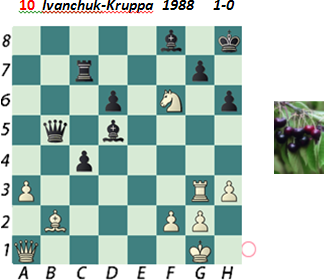 Puzzle 10  Ivanchuk-Kruppa