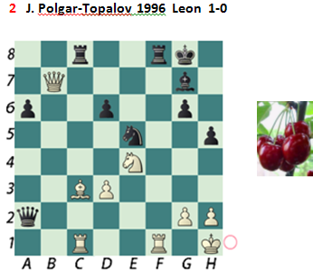 J.Polgar-Topalov