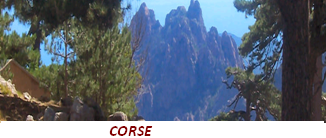 Corse