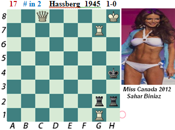 puzzle 17  Hassberg  1945 (study)  # in 2  1-0  