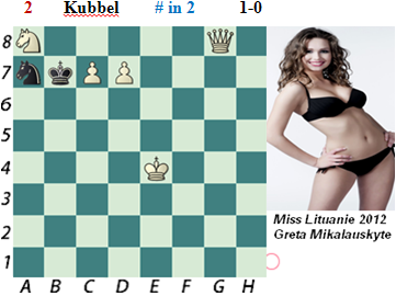 puzzle 2  Kubbel  (study)  # in 2    1-0
